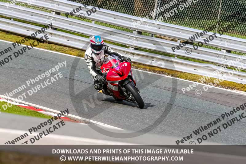 Oulton Park 21st March 2020;PJ Motorsport Photography 2020;anglesey;brands hatch;cadwell park;croft;donington park;enduro digital images;event digital images;eventdigitalimages;mallory;no limits;oulton park;peter wileman photography;racing digital images;silverstone;snetterton;trackday digital images;trackday photos;vmcc banbury run;welsh 2 day enduro